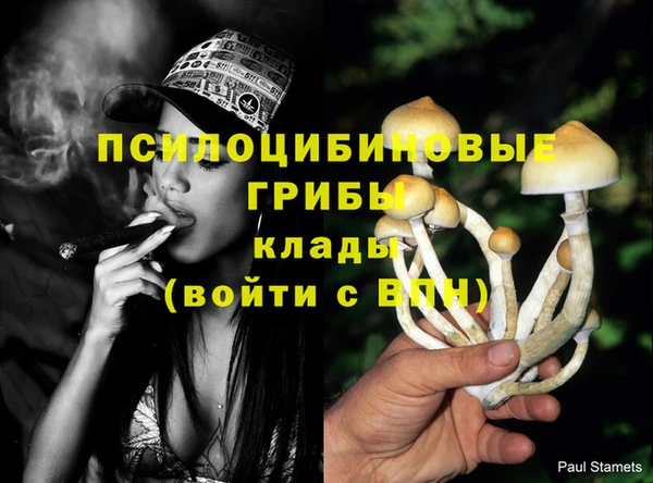 ГАЛЛЮЦИНОГЕННЫЕ ГРИБЫ Балахна
