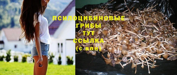 ГАЛЛЮЦИНОГЕННЫЕ ГРИБЫ Балахна