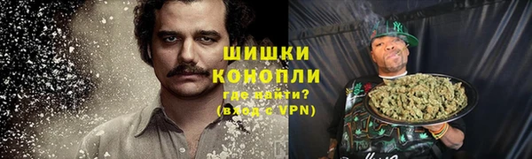 ГАЛЛЮЦИНОГЕННЫЕ ГРИБЫ Балахна