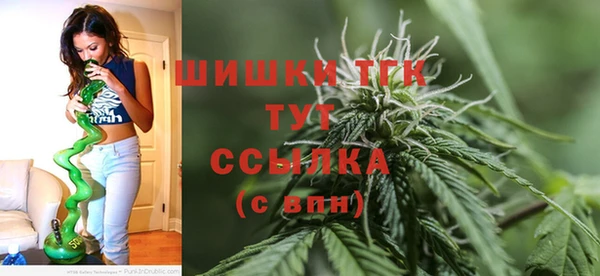 ГАЛЛЮЦИНОГЕННЫЕ ГРИБЫ Балахна